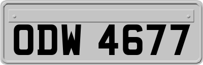 ODW4677