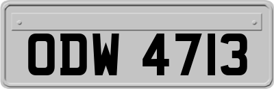 ODW4713