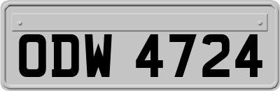 ODW4724