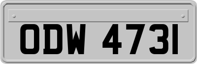 ODW4731