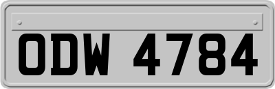 ODW4784