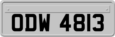ODW4813