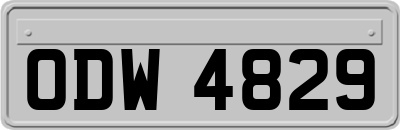 ODW4829
