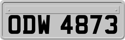 ODW4873