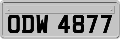 ODW4877