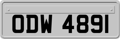 ODW4891