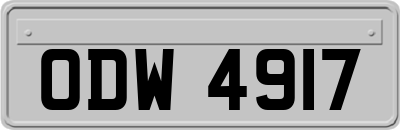 ODW4917