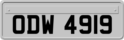 ODW4919