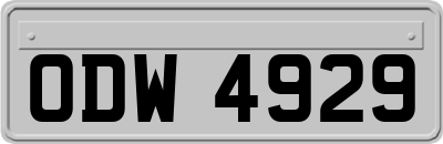 ODW4929