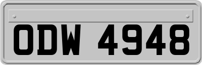 ODW4948