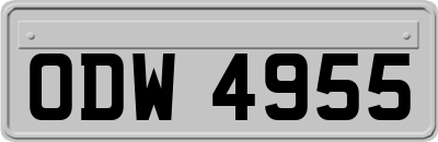 ODW4955