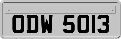 ODW5013