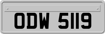 ODW5119
