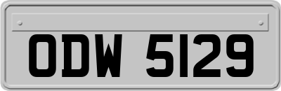 ODW5129