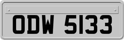ODW5133