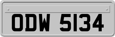 ODW5134