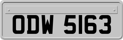 ODW5163