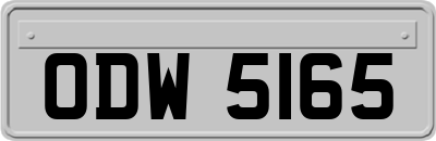 ODW5165