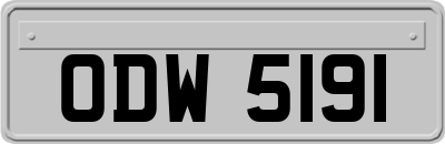 ODW5191