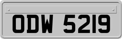 ODW5219