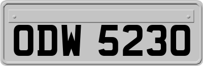 ODW5230