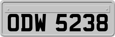ODW5238