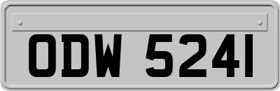 ODW5241