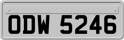 ODW5246