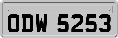 ODW5253