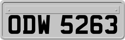 ODW5263