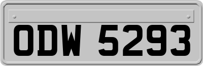ODW5293