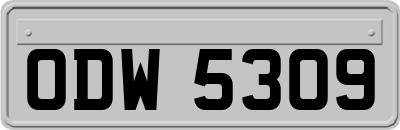 ODW5309