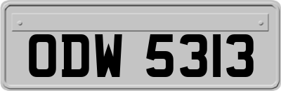 ODW5313