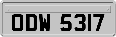 ODW5317