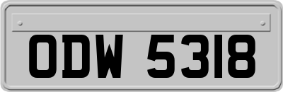 ODW5318