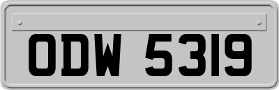 ODW5319