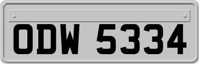 ODW5334