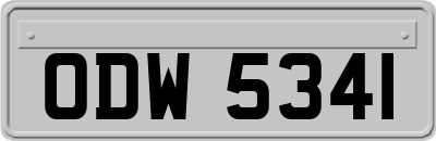 ODW5341