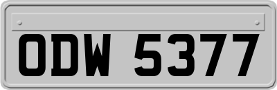 ODW5377