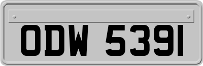 ODW5391