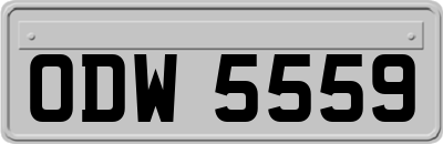 ODW5559