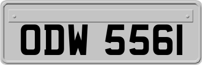 ODW5561