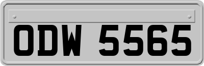ODW5565