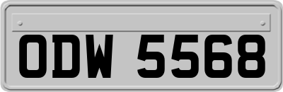 ODW5568