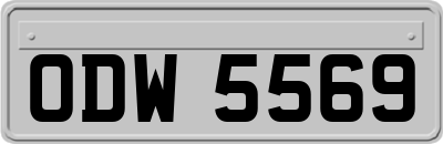 ODW5569