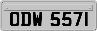 ODW5571