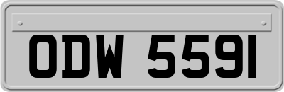 ODW5591