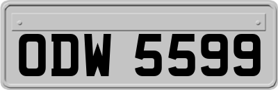 ODW5599