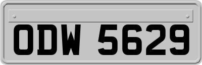 ODW5629