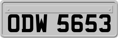 ODW5653